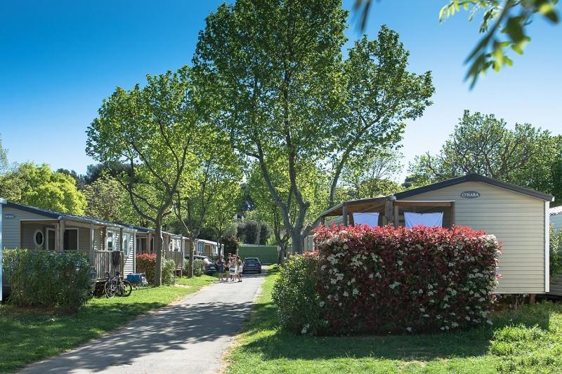 Camping Parc Mogador Sanary-sur-Mer Ngoại thất bức ảnh