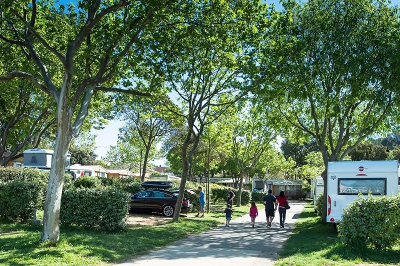 Camping Parc Mogador Sanary-sur-Mer Ngoại thất bức ảnh