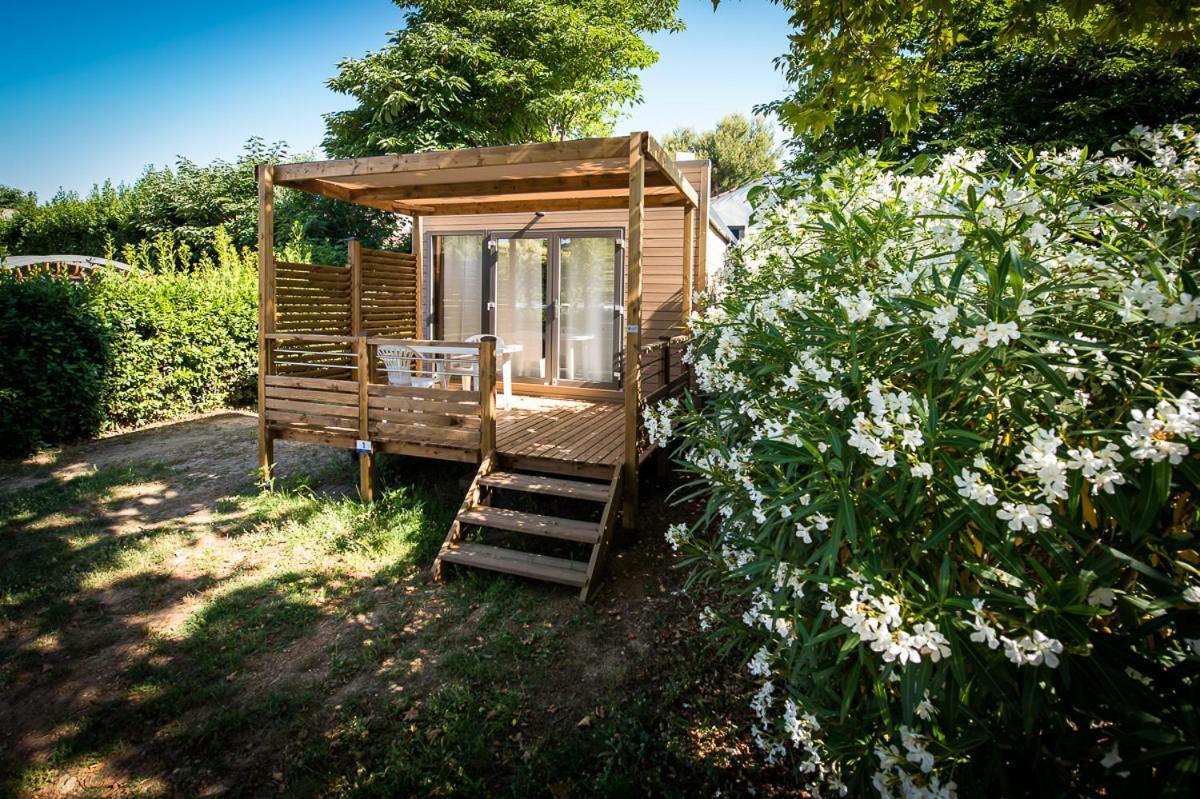Camping Parc Mogador Sanary-sur-Mer Ngoại thất bức ảnh